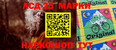 индика Моздок