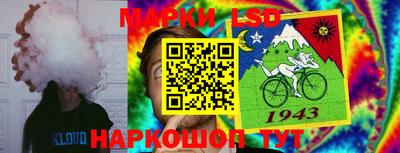 кокс Можга