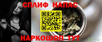 кокс Можга