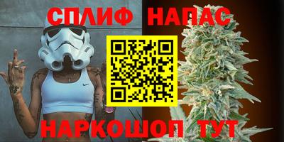 кокс Можга