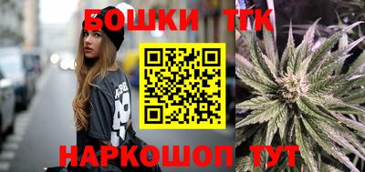 индика Моздок