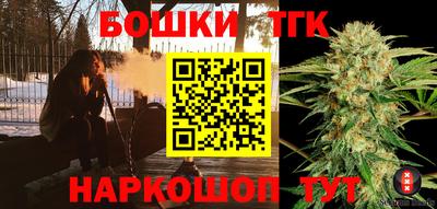 индика Моздок