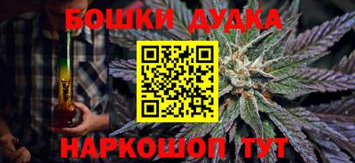 индика Моздок