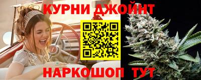 крисы Можайск