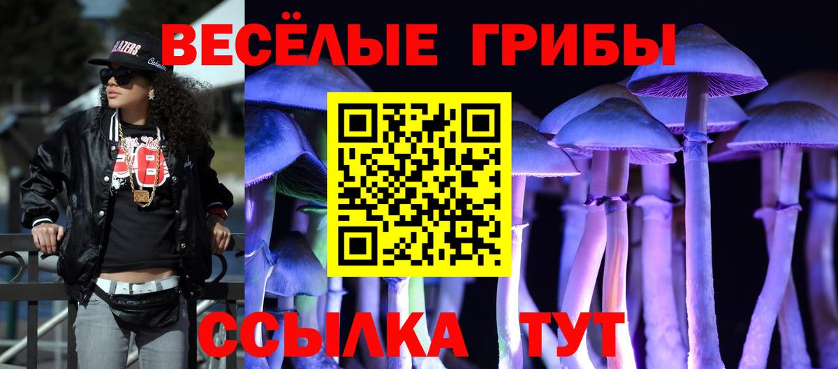 Верхняя Пышма  Галлюциногенные грибы прущие грибы  Вход с VPN 